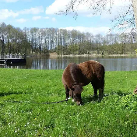 بيت للعطل Chalet,