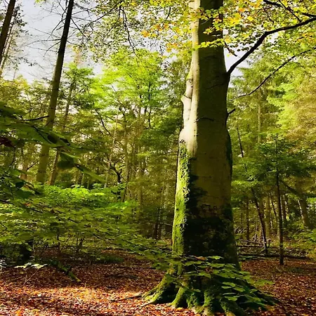 بيت للعطل Chalet, Wendorf (Kuhlen-Wendorf)