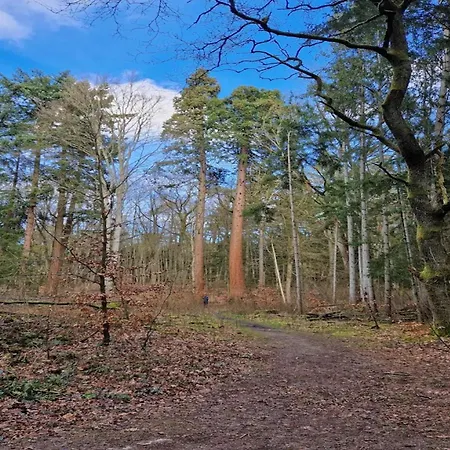 Chalet, بيت للعطل