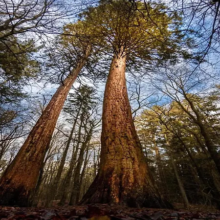 بيت للعطل Chalet,