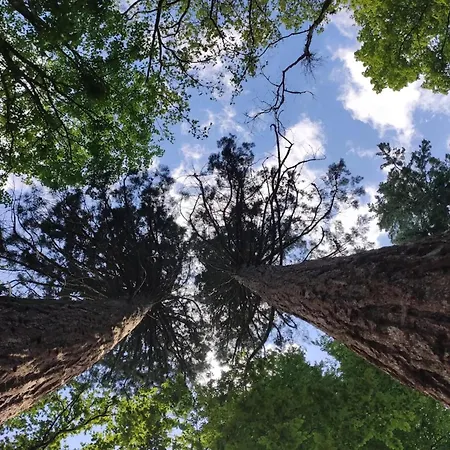 Chalet, * Wendorf (Kuhlen-Wendorf)