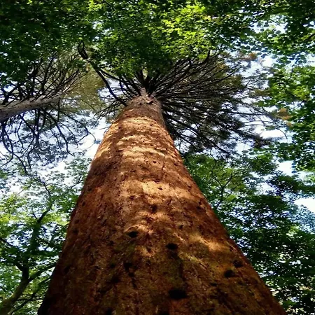 Chalet, بيت للعطل Wendorf (Kuhlen-Wendorf)