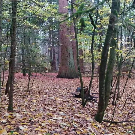 Chalet, Prázdninový dům Wendorf (Kuhlen-Wendorf)