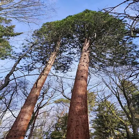 بيت للعطل Chalet, *