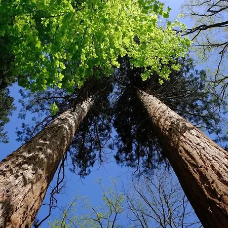 Chalet, بيت للعطل