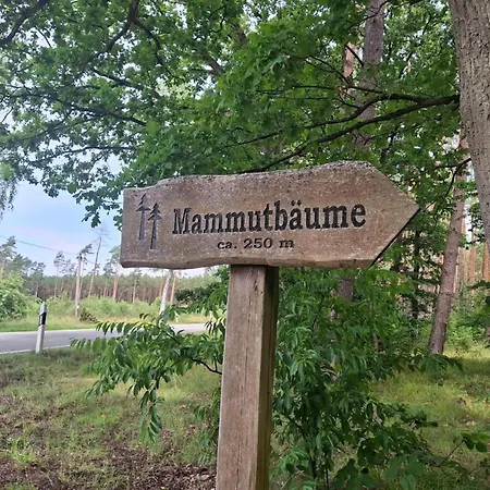 Chalet, Prázdninový dům *